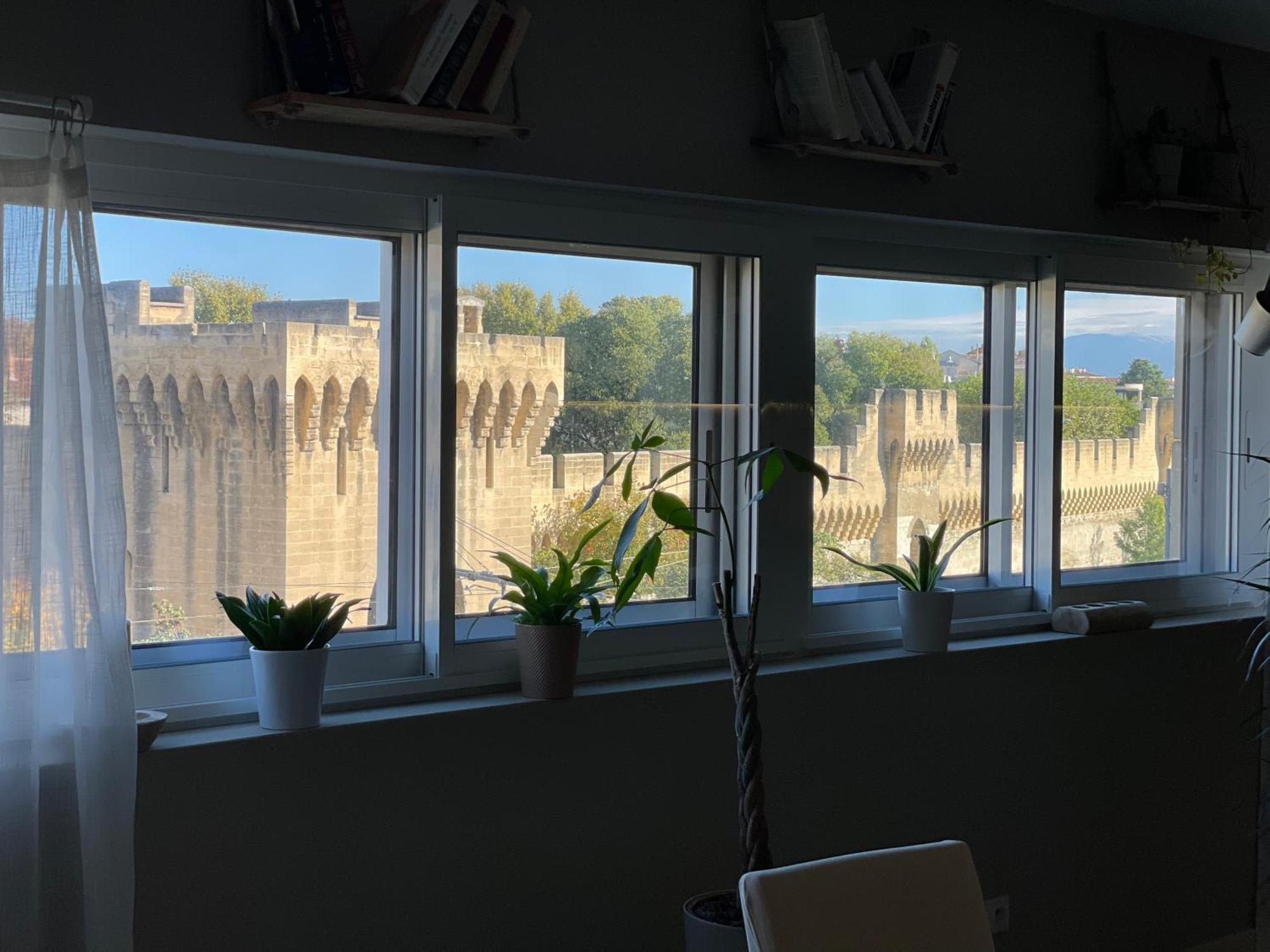 Chez Flo Apartment Avignon Bagian luar foto