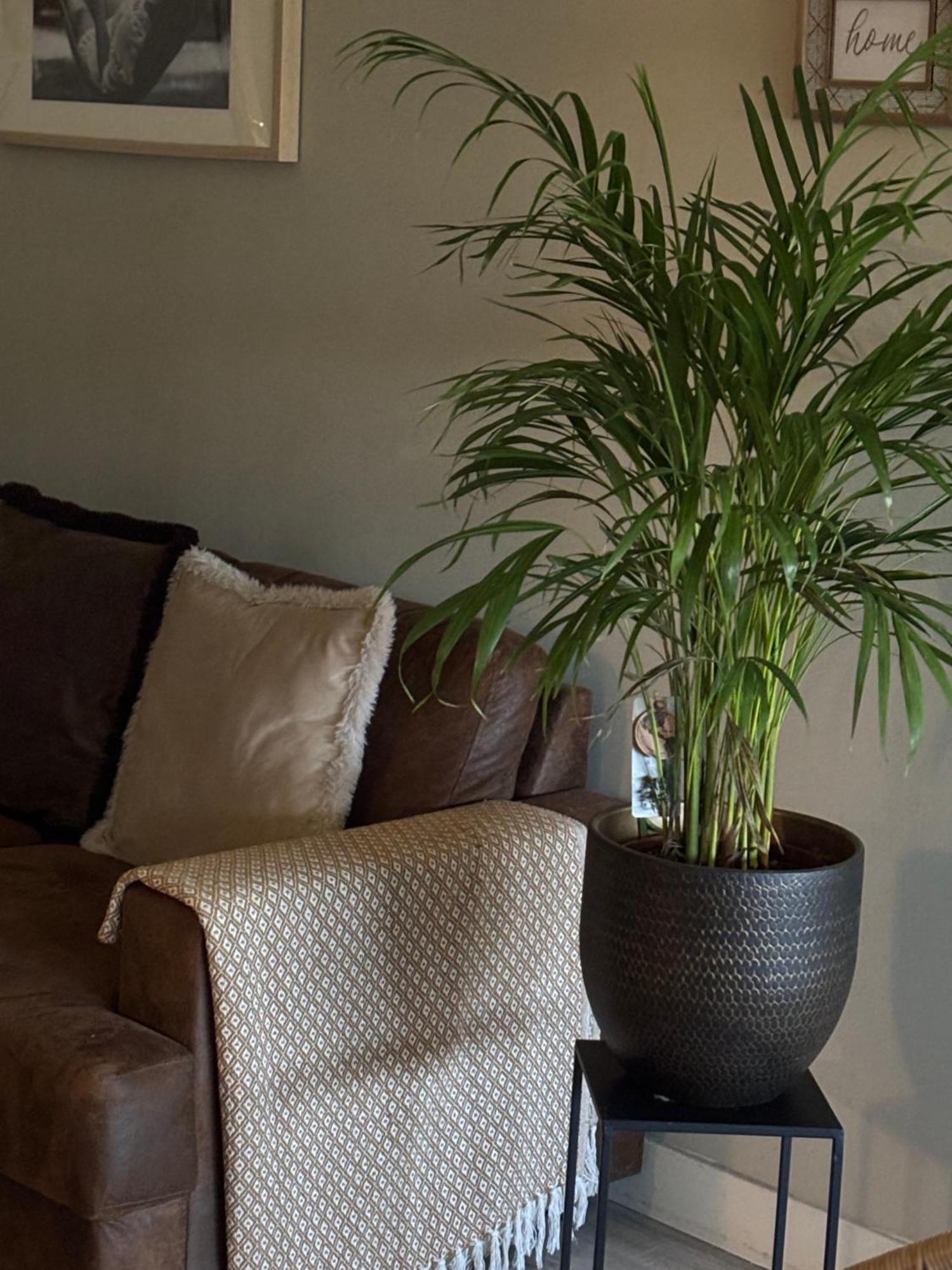 Chez Flo Apartment Avignon Bagian luar foto